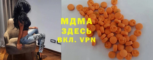 шишки Верхний Тагил