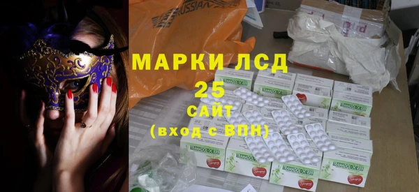 шишки Верхний Тагил