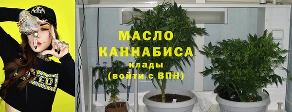 шишки Верхний Тагил