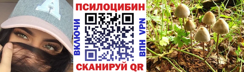 Купить где  Тихвин  Галлюциногенные грибы прущие грибы 