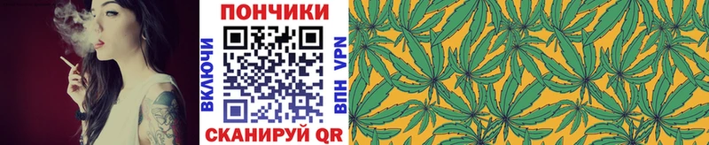 Шишки марихуана THC 21%  Купить закладки  Тихвин 